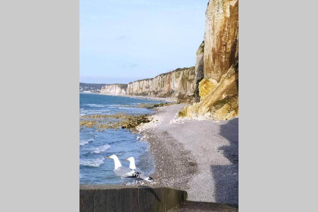 Le Nid Colas Cour Au Sud Velos A Dispo Fécamp Buitenkant foto