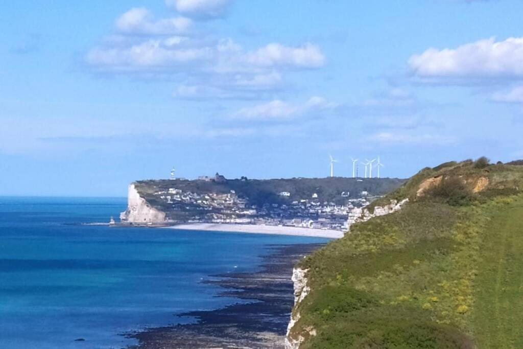 Le Nid Colas Cour Au Sud Velos A Dispo Fécamp Buitenkant foto